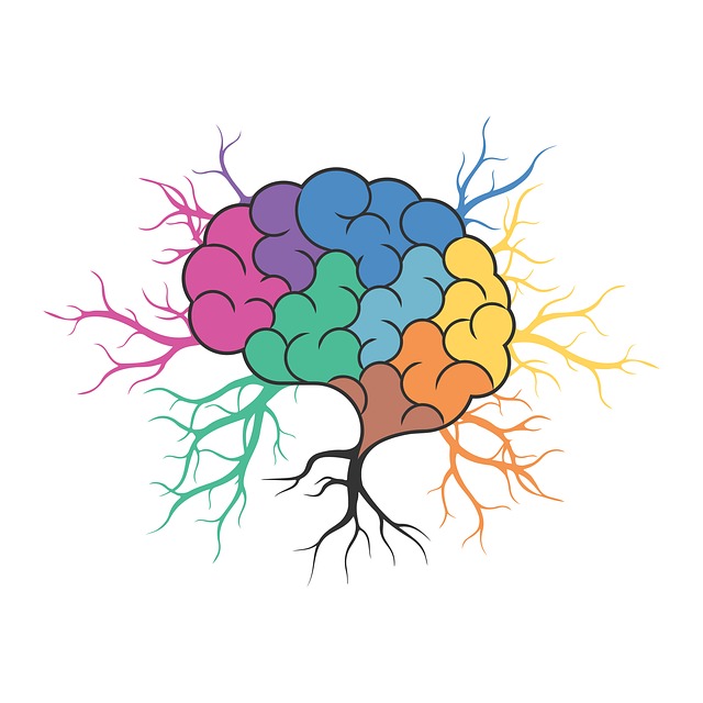 Free Brain Genius vector and picture
