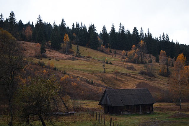 Free Ukraine Village photo and picture