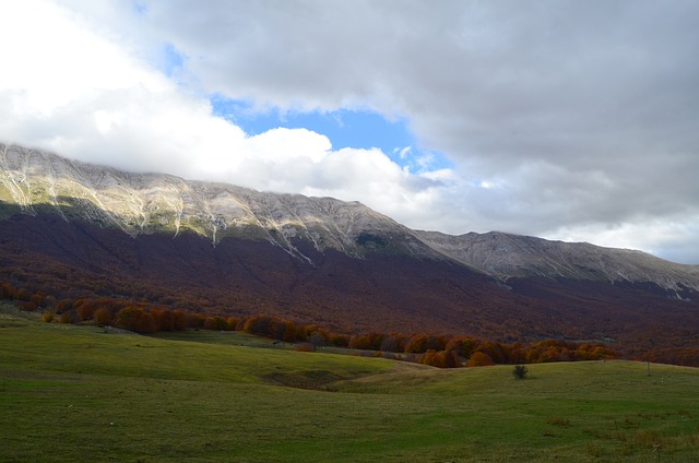 Herbst, Natur, Landschaft, Farbig, Bäume