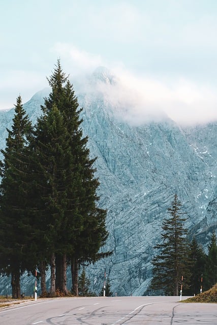 Free Road Mountain Road photo and picture