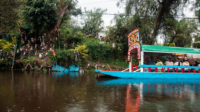 Free Mexico Folklore photo and picture
