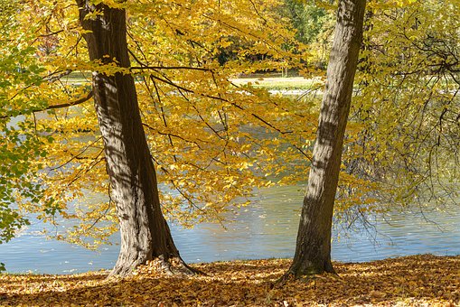 Free Autumn Nature photo and picture