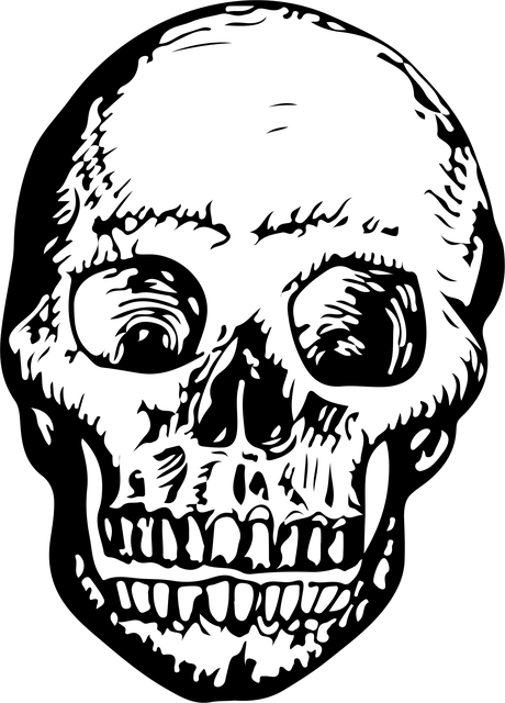 Kranium, Skelet, Knogle, Hoved, Blæk