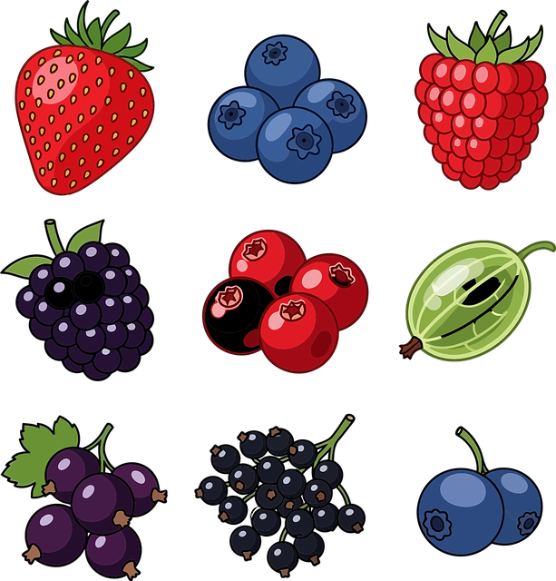 Free berries fruit healthy vector