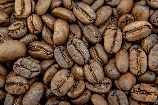 Free Coffee Coffee Beans photo and picture