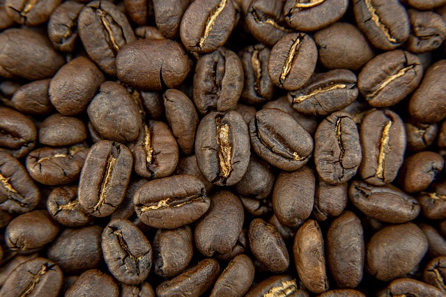 Free Coffee Beans photo and picture