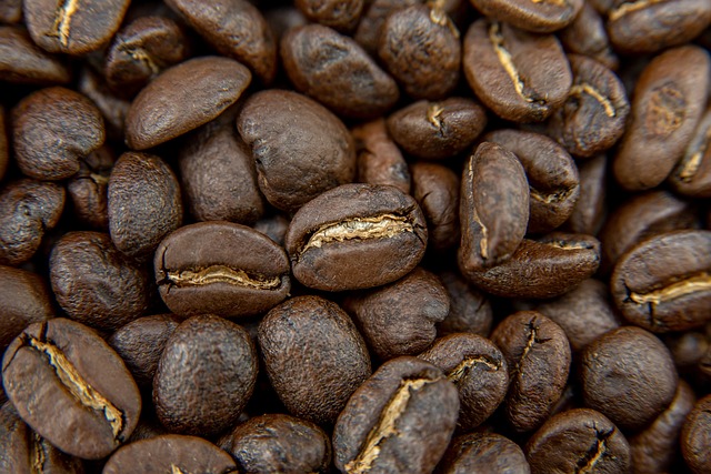 Free Coffee Beans Coffee photo and picture