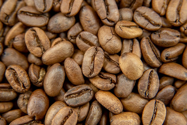 Free Geisha Coffee photo and picture