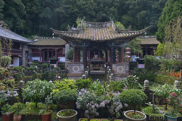 Free Weibao Shan Dali photo and picture