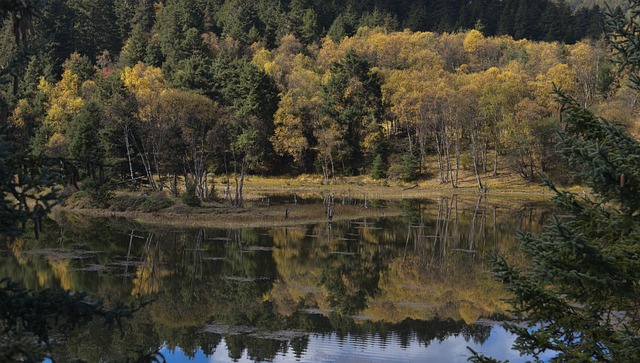 Free Putatos Naional Park photo and picture