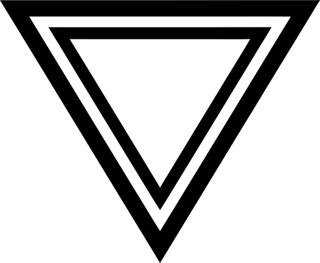 Free triangle outlined double border vector