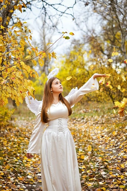 Free Autumn Nature photo and picture