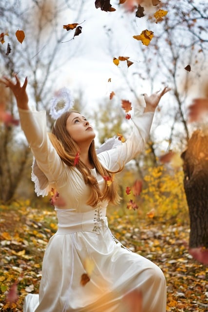 Free Autumn Nature photo and picture