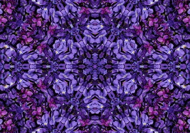 Flores, Natureza, Bloom, Florescer