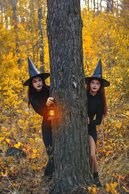 Free Autumn Nature photo and picture