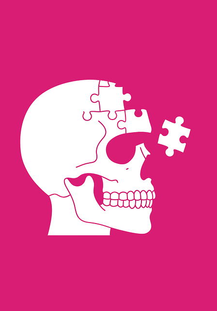 Free skull brain puzzles vector