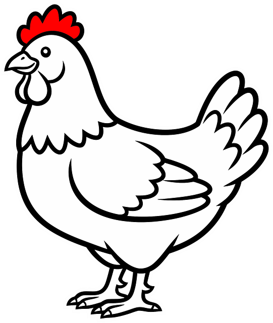 Free chicken farm animal cartoon illustration