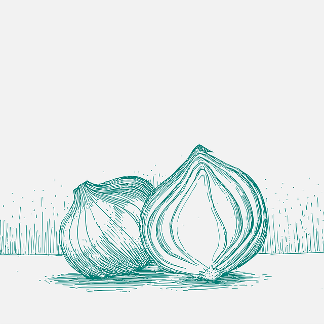 Free sketch draw drawing vector