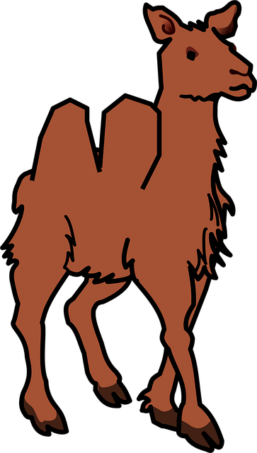 Free camel desert nature vector