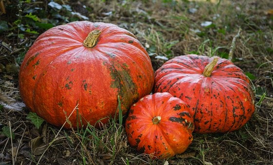Halloween, Efterår, Humør, Farve, Farver