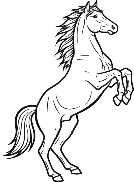 Cal, Contur, Creșterea, Animal, Dinamic