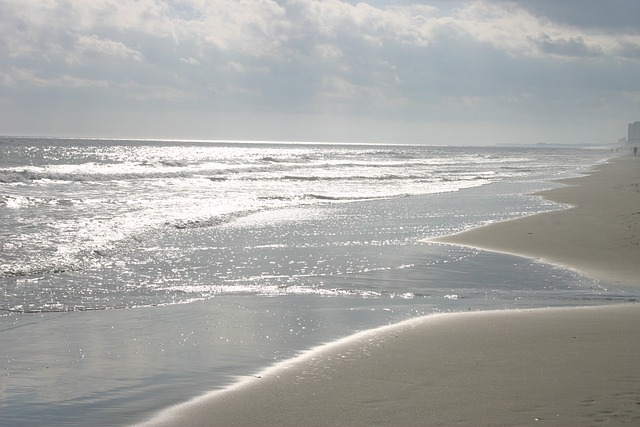 Free Ocean Sunlight photo and picture