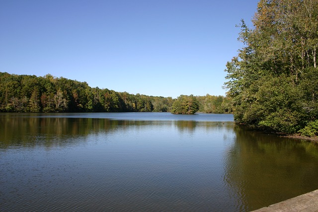 Free Lake Autumn photo and picture