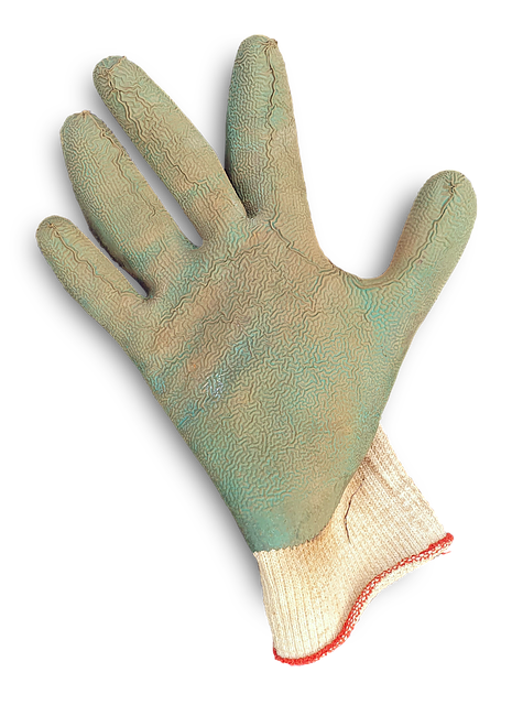 Free Glove Work photo and picture