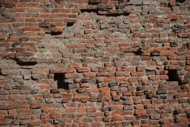 Free Wall Texture photo and picture