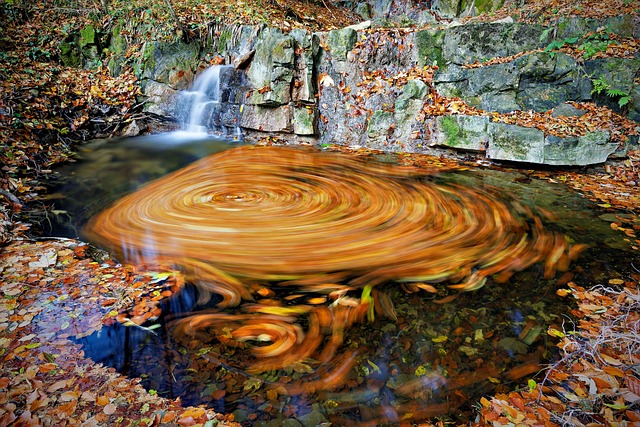 Free Fall Water photo and picture