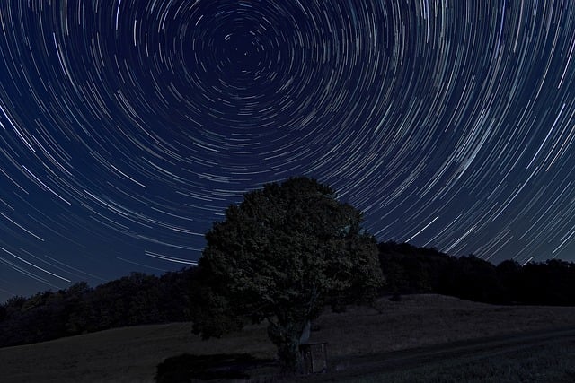 Free Night Stars photo and picture
