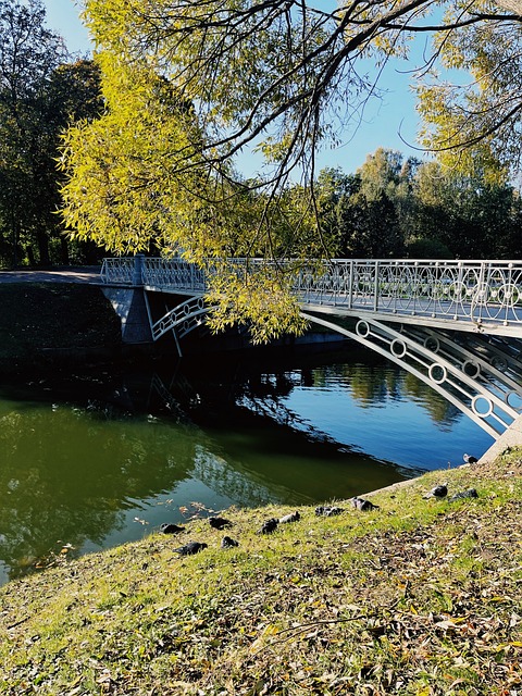 Puente, Naturaleza, Ciudad, Arquitectura