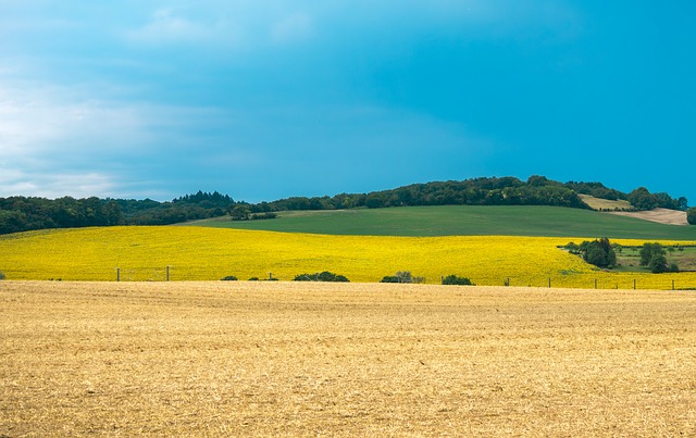 Panorama, Natureza, Campo, Agricultura