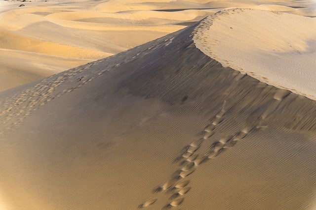 Dune, desert, sand and nature — photo by BernhardJaeck