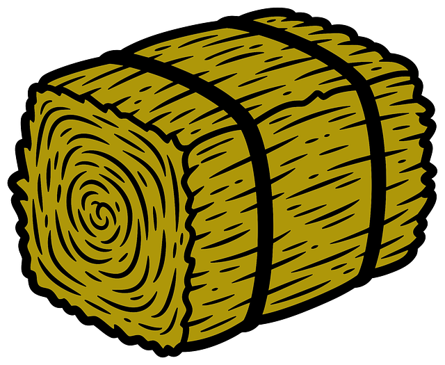 Free hay bale yellow rectangular vector