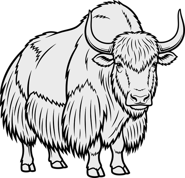 Free yak outline animal illustration