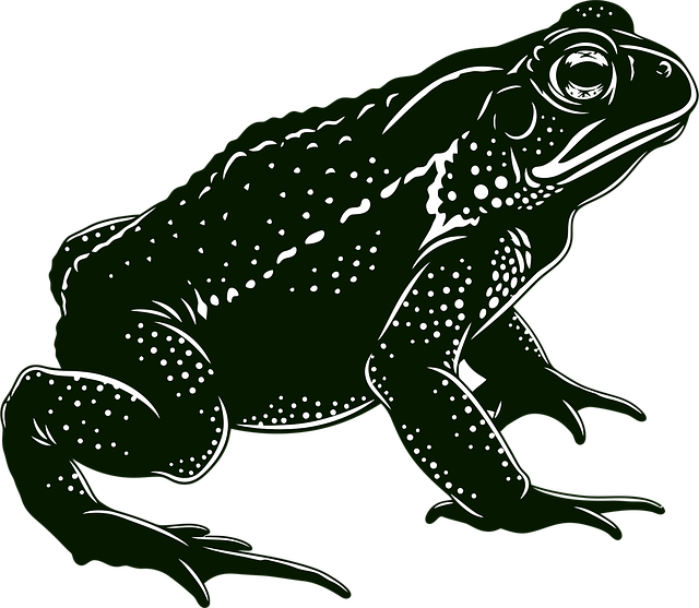 Free toad realistic amphibian illustration