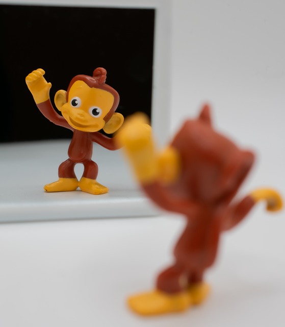 Espelho, Reflexão, Macaco, Brinquedo