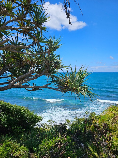 Solskinn, Kyst, Natur, Strand, Hav