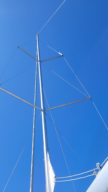 Free Sail Sailing photo and picture
