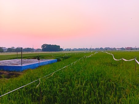 Sonnenuntergang, Himmel, Natur