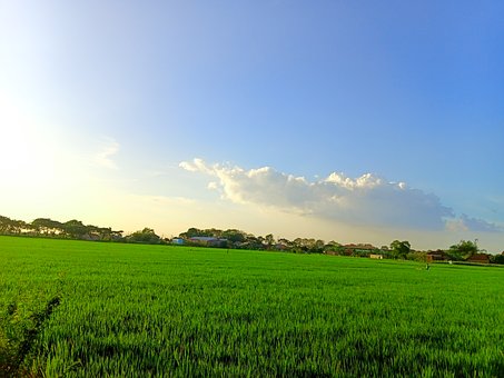 Natur, Landschaft, Fluss, Vogel, Himmel
