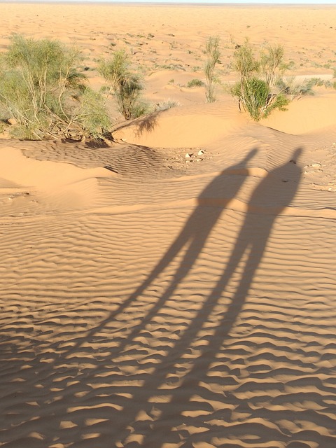 Free Shadows Desert illustration and picture