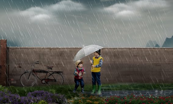Free November Rain photo and picture