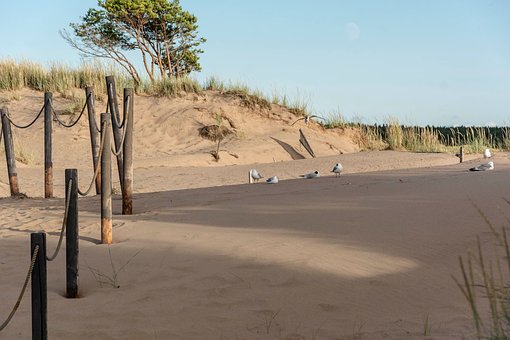 Free Beach Sand photo and picture