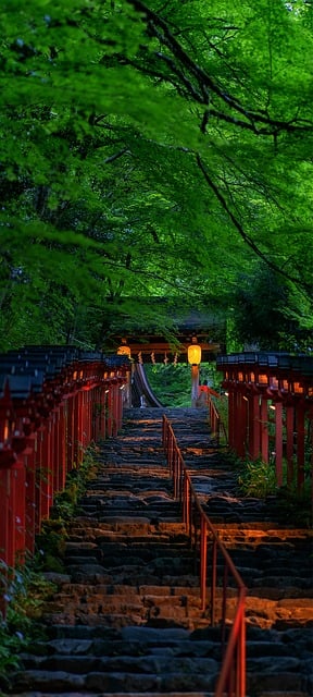 Free Stairs Path photo and picture