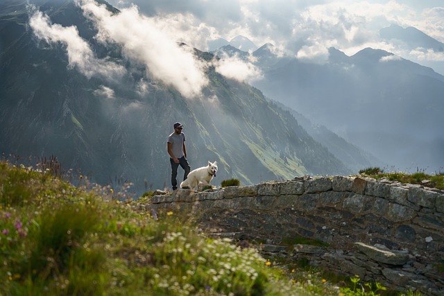 Free Switzerland Nature photo and picture