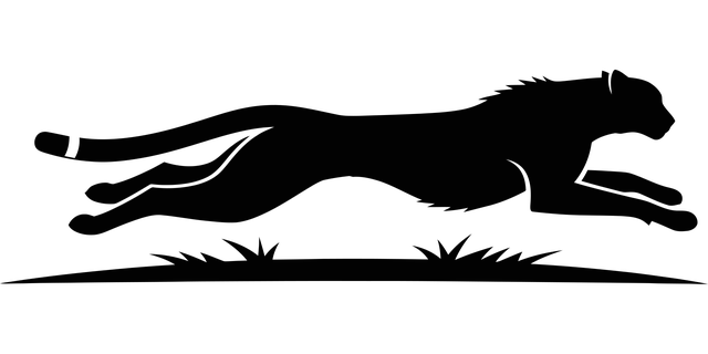 Free cheetah running silhouette vector