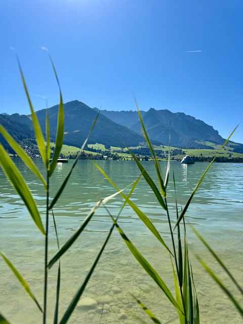 Free Lake Mountains photo and picture