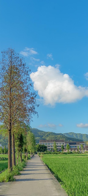 Free Nature Landscape photo and picture